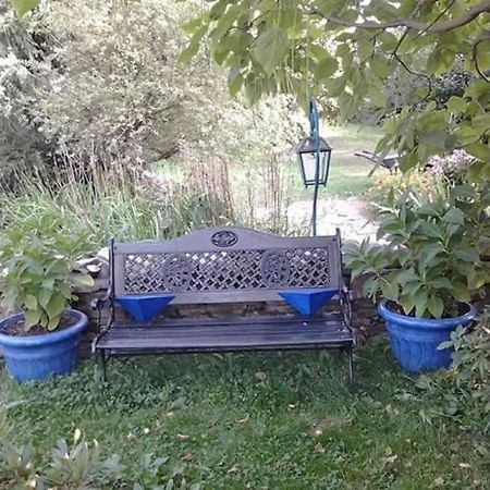 Agroturystyka W Ogrodach 萨诺克 外观 照片