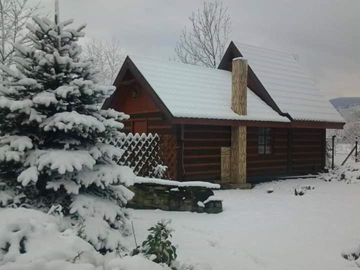 Agroturystyka W Ogrodach 萨诺克 外观 照片