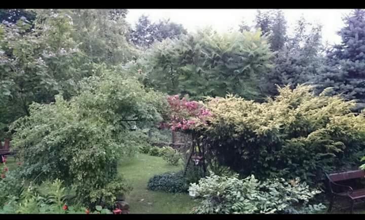 Agroturystyka W Ogrodach 萨诺克 外观 照片