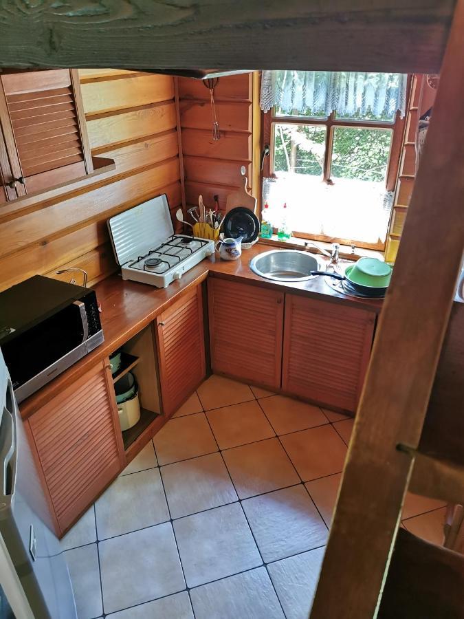 Agroturystyka W Ogrodach 萨诺克 外观 照片