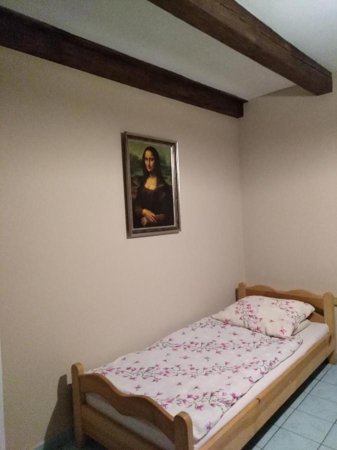 Agroturystyka W Ogrodach 萨诺克 外观 照片